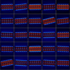 Cryo-em images of a flagellum filament