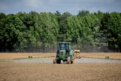 Die allgemeine Herbizidresistenz schränkt die ökologische Landwirtschaft erheblich ein